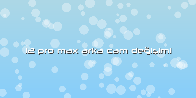 12 Pro Max Arka Cam Değişimi