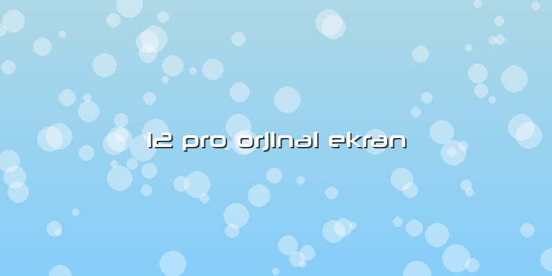 12 Pro Orjinal Ekran