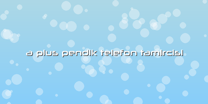 A Plus Pendik Telefon Tamircisi
