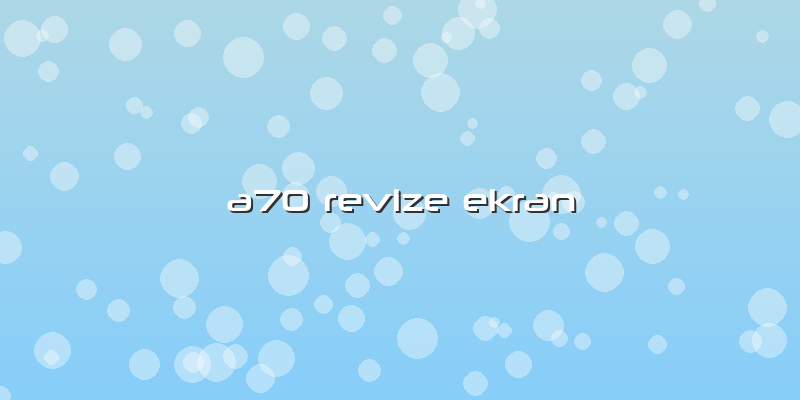 A70 Revize Ekran