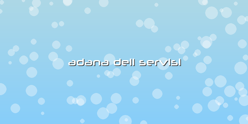 Adana Dell Servisi