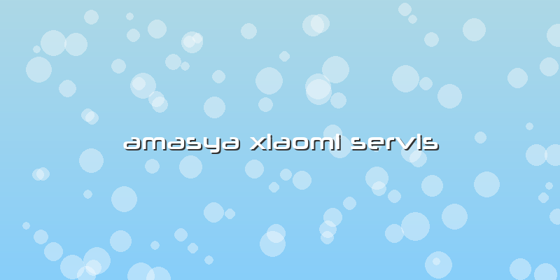 Amasya Xiaomi Servis