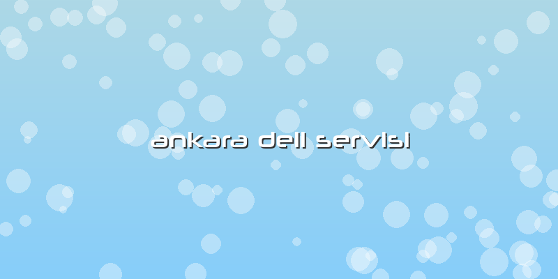 Ankara Dell Servisi