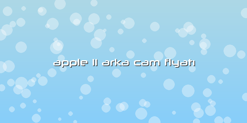 Apple 11 Arka Cam Fiyatı
