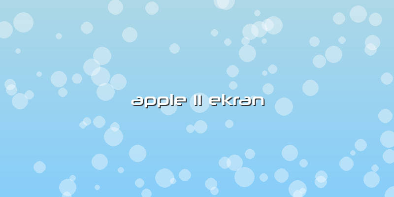 Apple 11 Ekran