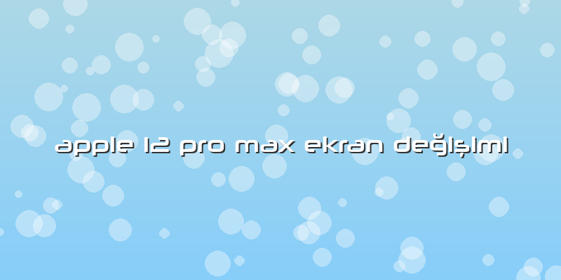 Apple 12 Pro Max Ekran Değişimi