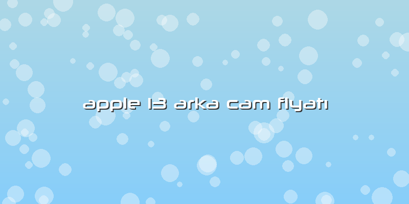 Apple 13 Arka Cam Fiyatı