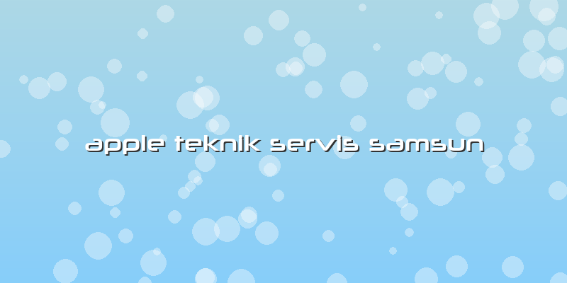 Apple Teknik Servis Samsun