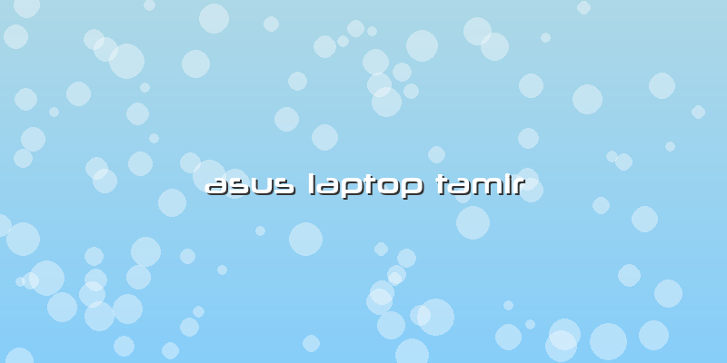 Asus Laptop Tamir