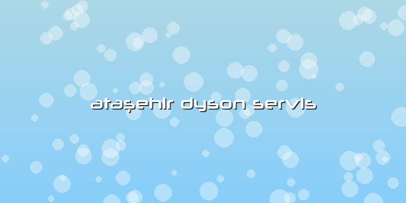 Ataşehir Dyson Servis