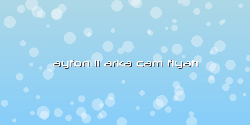 Ayfon 11 Arka Cam Fiyatı