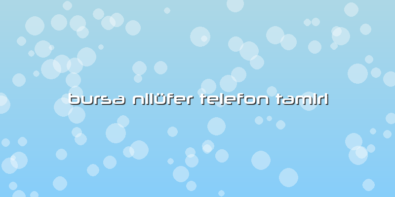 Bursa Nilüfer Telefon Tamiri