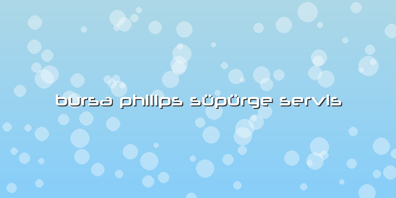 Bursa Philips Süpürge Servis
