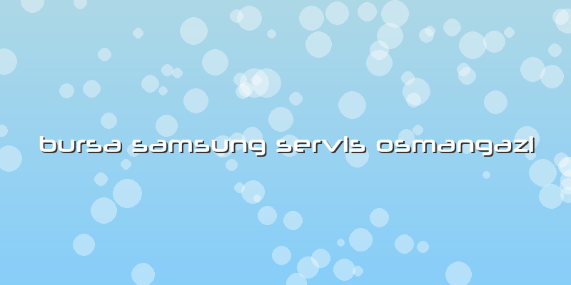 Bursa Samsung Servis Osmangazi