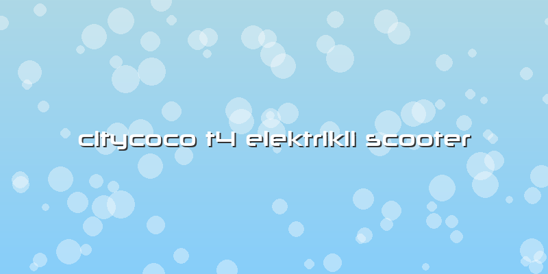 Citycoco T4 Elektrikli Scooter