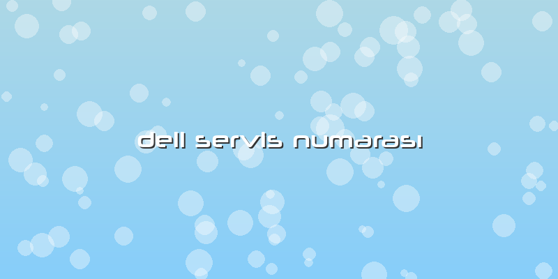 Dell Servis Numarası