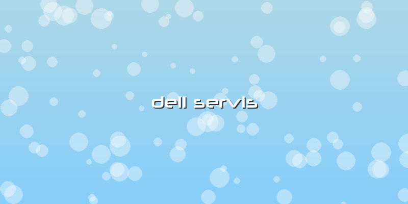 Dell Servis