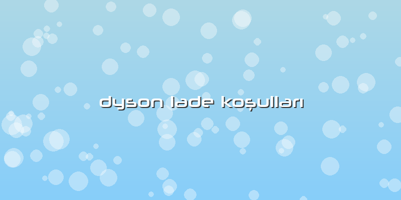 Dyson Iade Koşulları