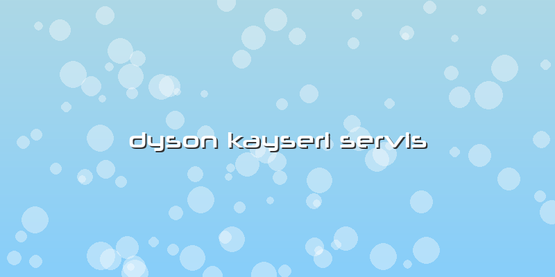 Dyson Kayseri Servis