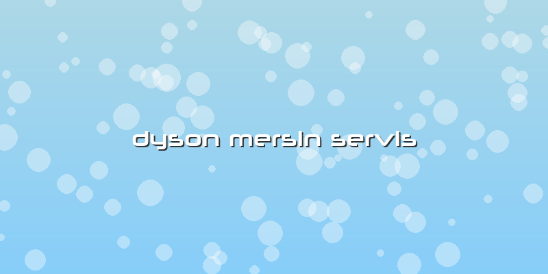 Dyson Mersin Servis