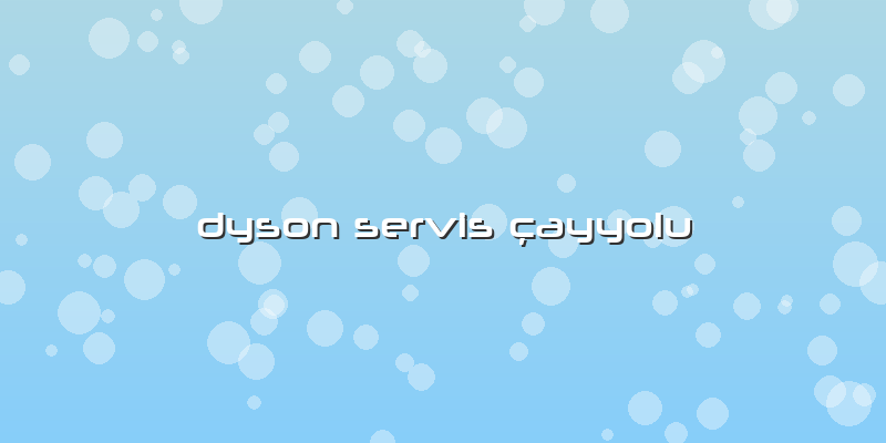 Dyson Servis çayyolu
