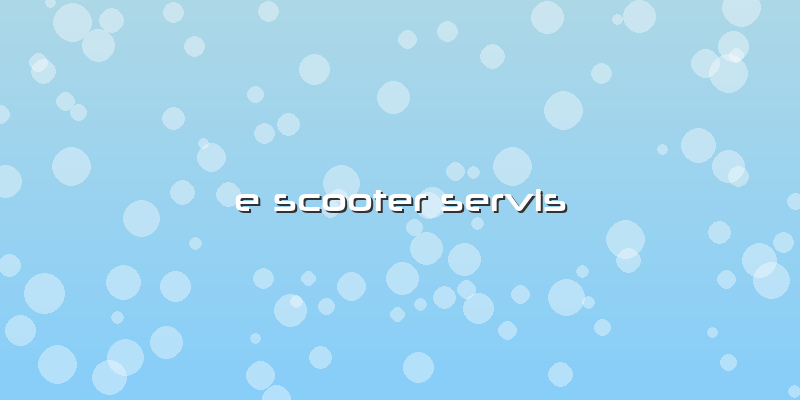 E Scooter Servis