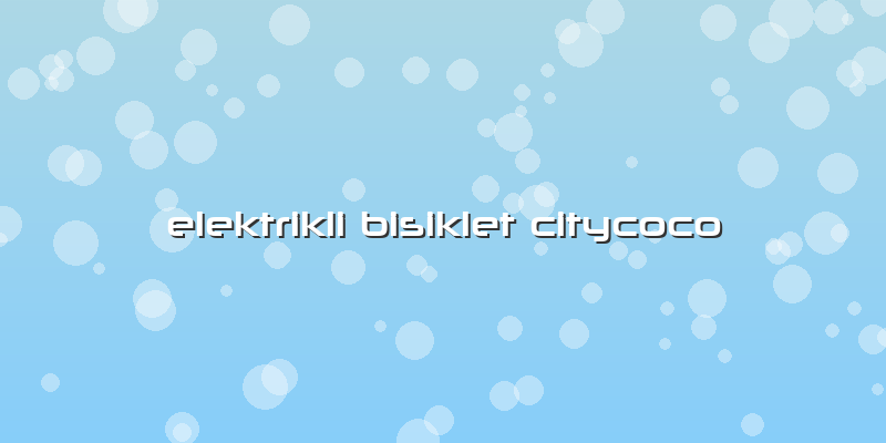 Elektrikli Bisiklet Citycoco