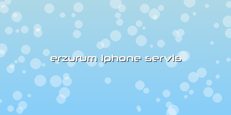 Erzurum Iphone Servis