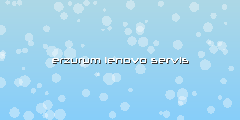 Erzurum Lenovo Servis