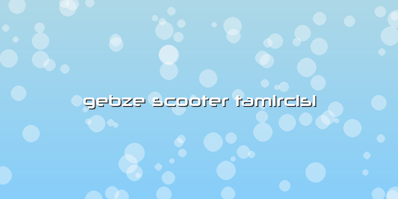 Gebze Scooter Tamircisi