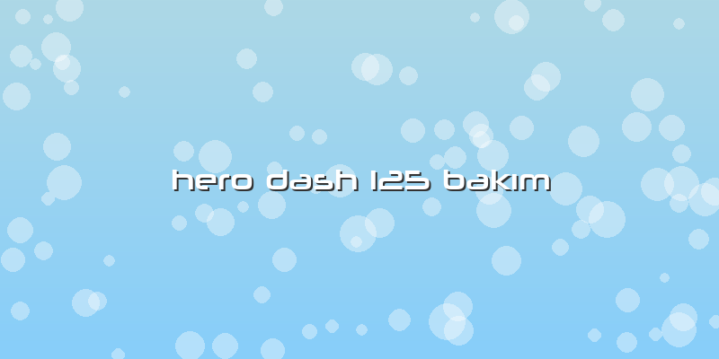 Hero Dash 125 Bakım