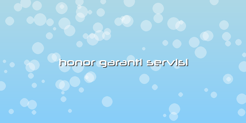 Honor Garanti Servisi