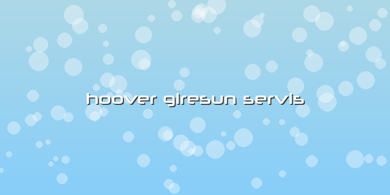 Hoover Giresun Servis