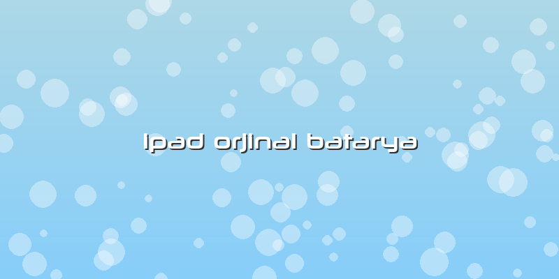 Ipad Orjinal Batarya