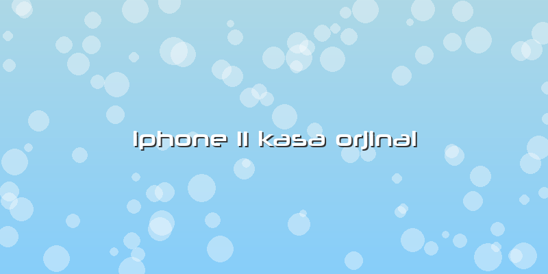 Iphone 11 Kasa Orjinal