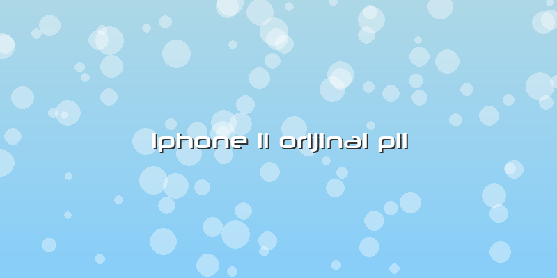 Iphone 11 Orijinal Pil