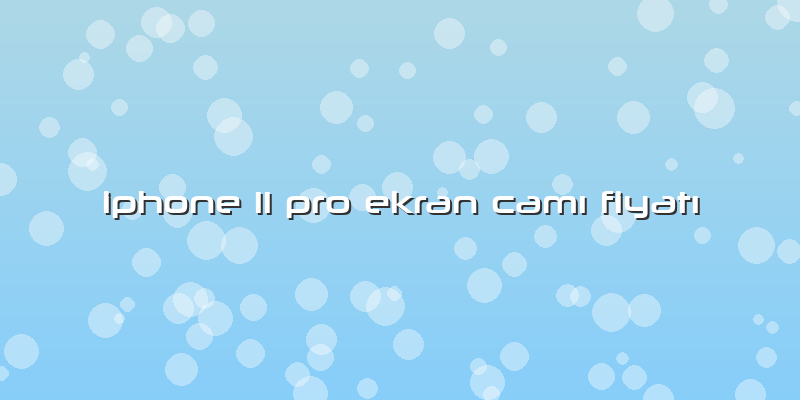Iphone 11 Pro Ekran Camı Fiyatı