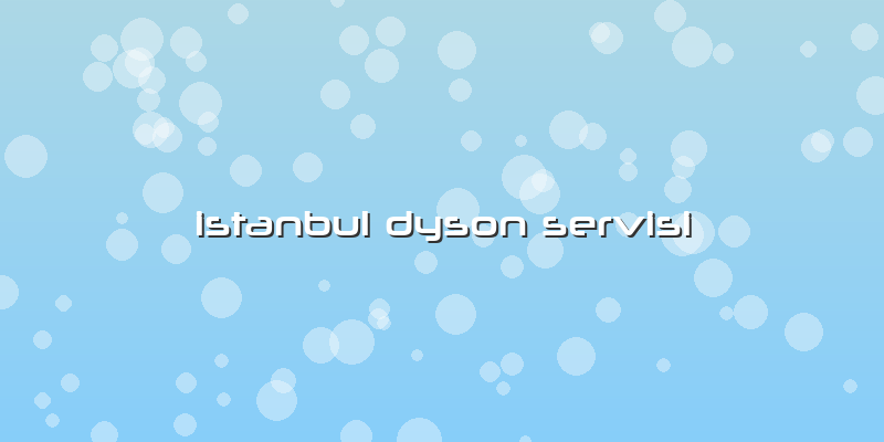 Istanbul Dyson Servisi