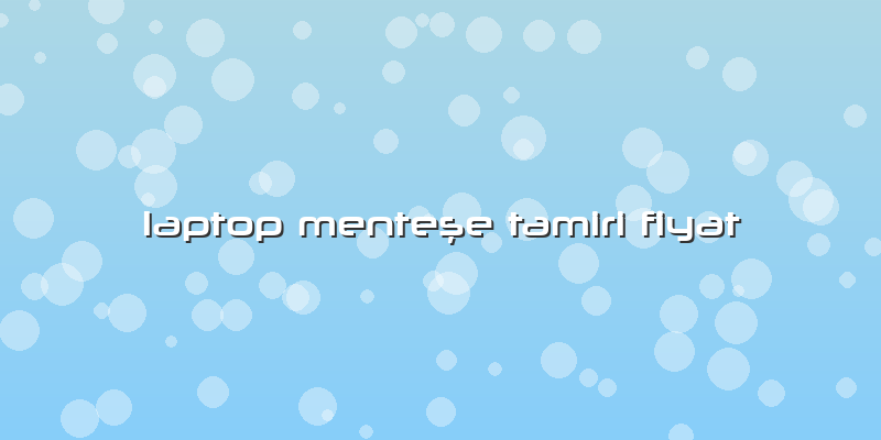 Laptop Menteşe Tamiri Fiyat