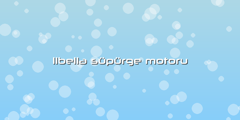 Libella Süpürge Motoru