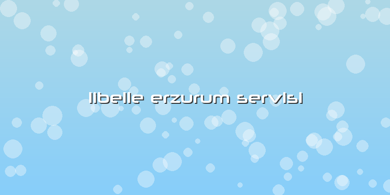Libelle Erzurum Servisi