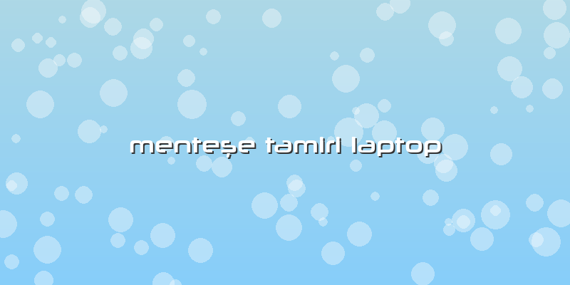 Menteşe Tamiri Laptop