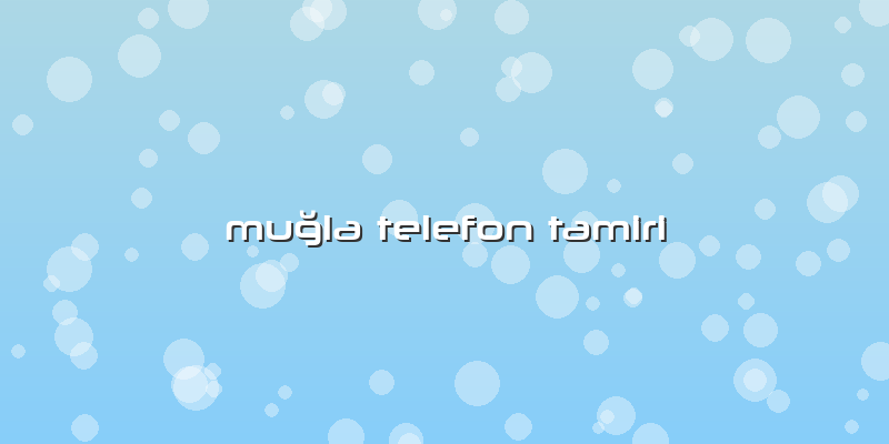 Muğla Telefon Tamiri