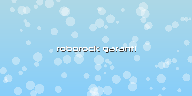 Roborock Garantli Özel Servis
