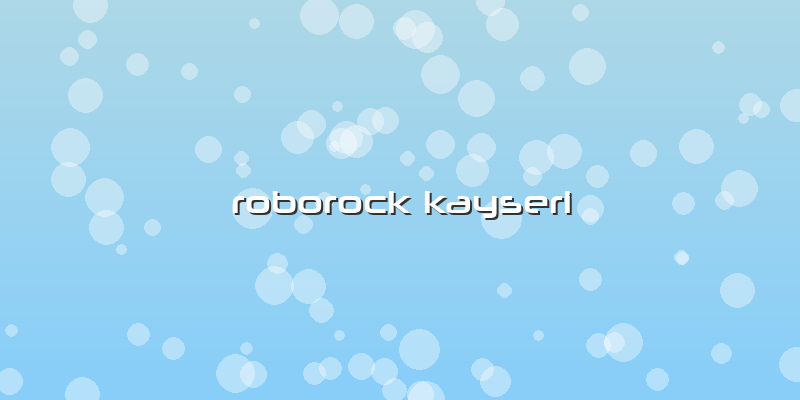 Roborock Kayseri Özel servis