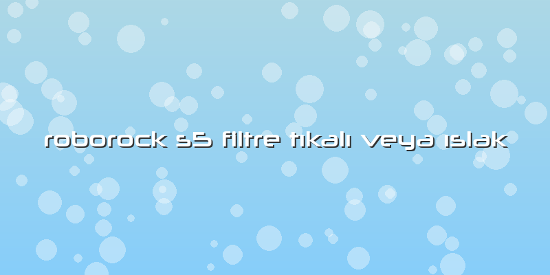 Roborock S5 Filtre Tıkalı Veya ıslak