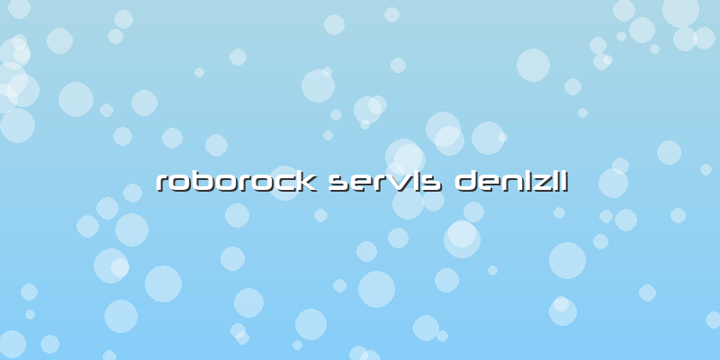 Roborock Özel Servis Denizli