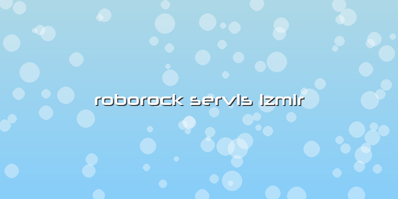 Roborock Özel Servis Izmir