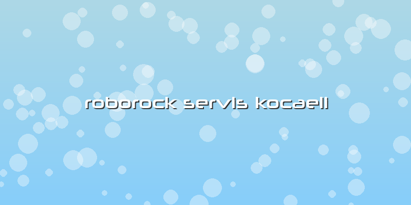 Roborock Özel Servis Kocaeli
