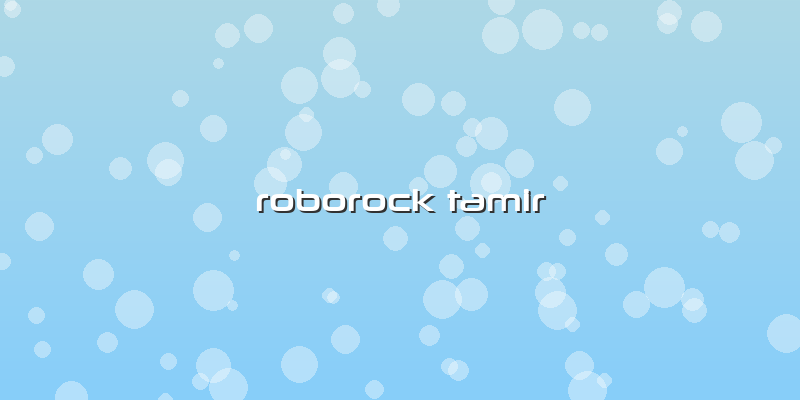 Roborock Tamir